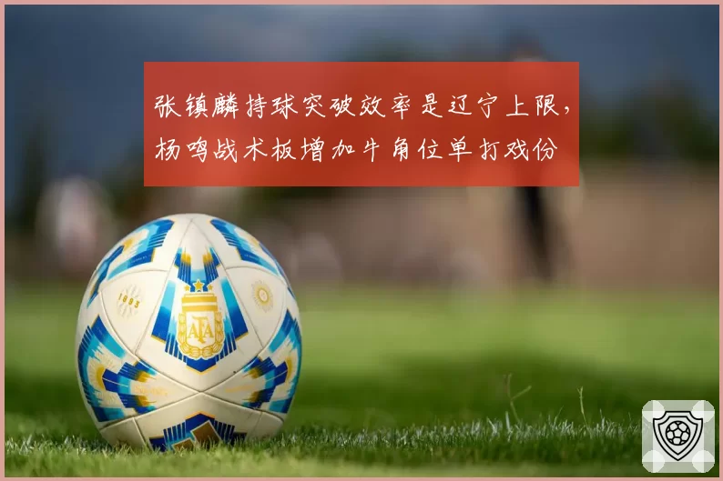 张镇麟持球突破效率是辽宁上限，杨鸣战术板增加牛角位单打戏份