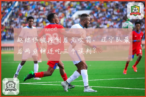 赵继伟被撞倒后无吹罚，辽宁队最后两分钟连吃三个误判？