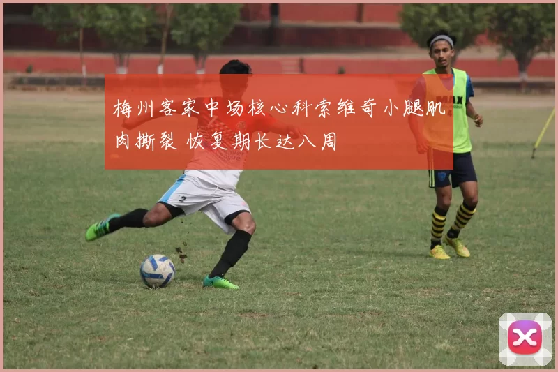 梅州客家中场核心科索维奇小腿肌肉撕裂 恢复期长达八周