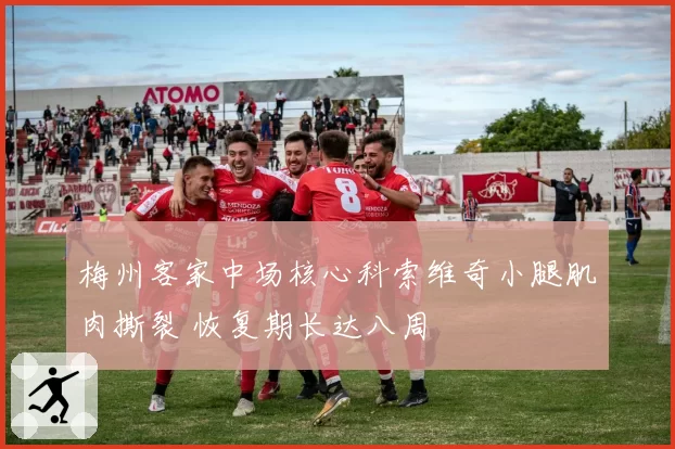 梅州客家中场核心科索维奇小腿肌肉撕裂 恢复期长达八周