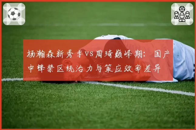 杨瀚森新秀季vs周琦巅峰期：国产中锋禁区统治力与策应效率差异