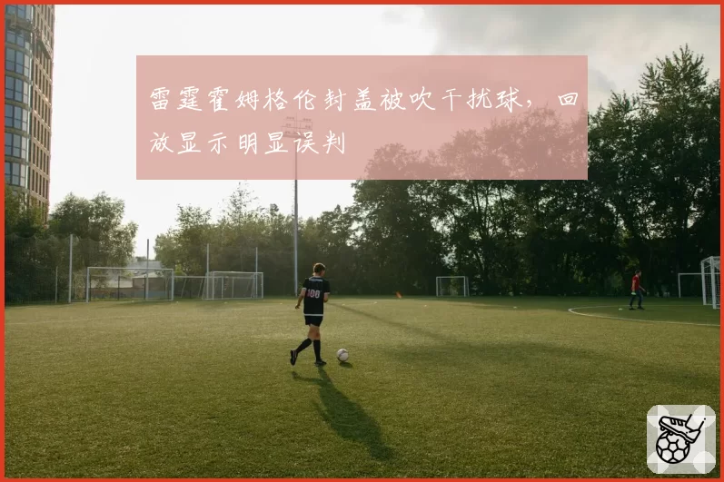 雷霆霍姆格伦封盖被吹干扰球，回放显示明显误判