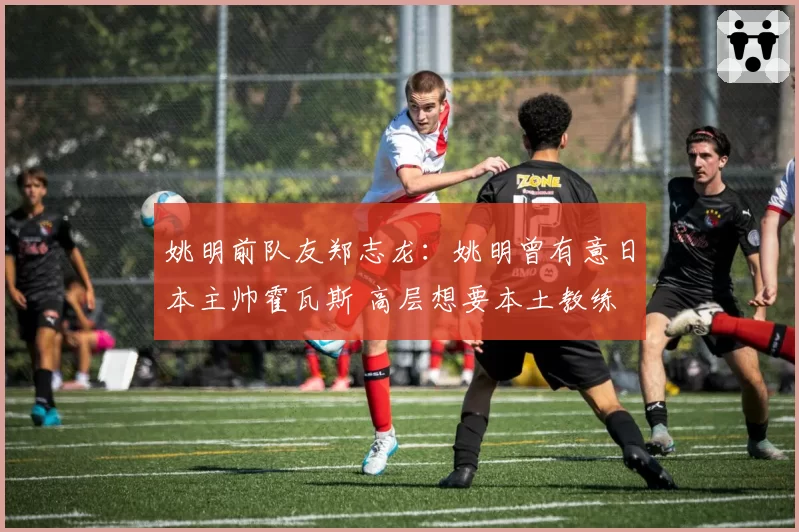 姚明前队友郑志龙：姚明曾有意日本主帅霍瓦斯 高层想要本土教练